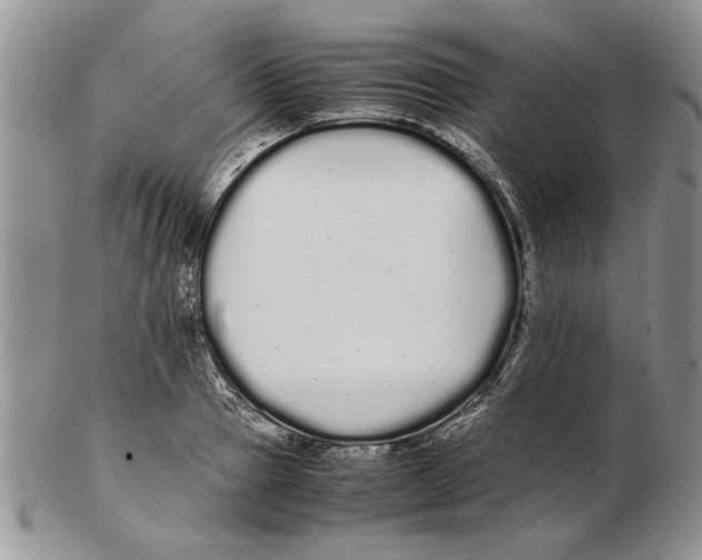X0000102260937200808221412
