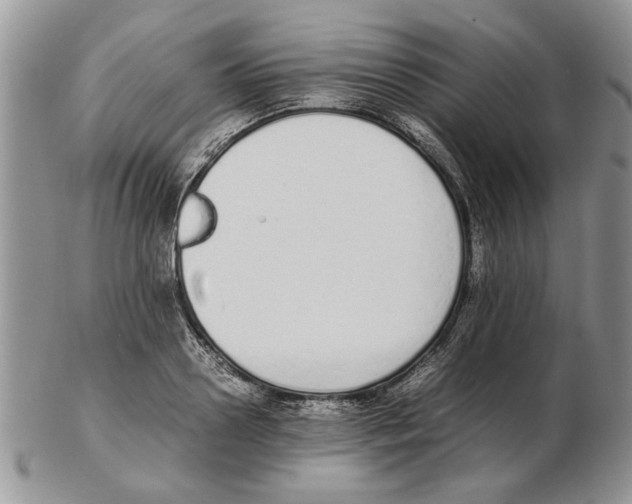 X0000102260938200808221412