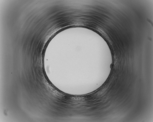 X0000102260939200808221412