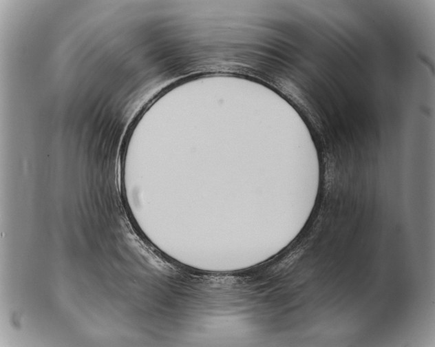 X0000102260940200808221412