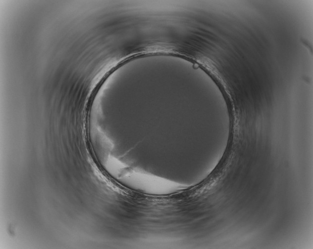 X0000102260941200808221412