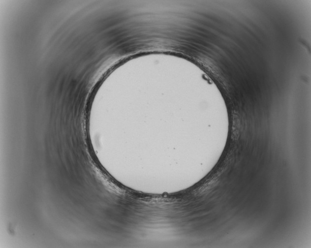 X0000102260942200808221412