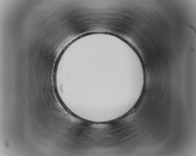 X0000102260943200808221412