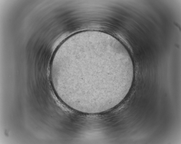 X0000102260944200808221412