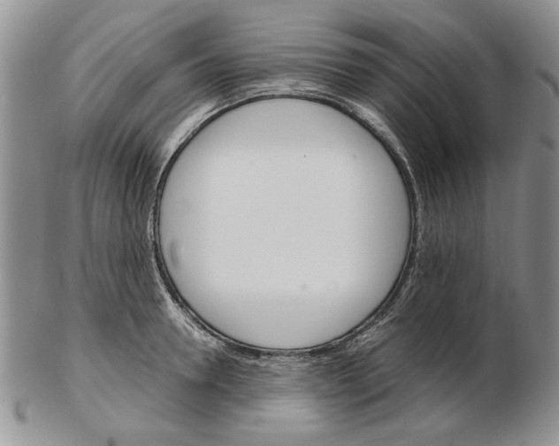 X0000102260946200808221412