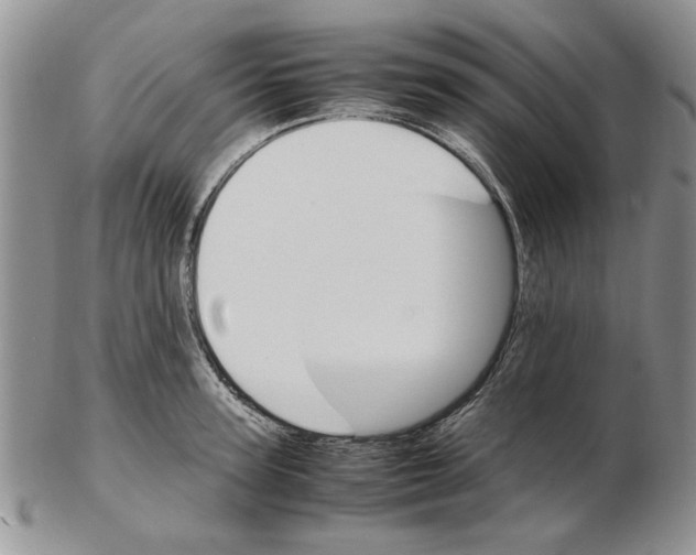 X0000102260947200808221412