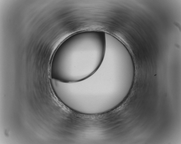 X0000102260948200808221412