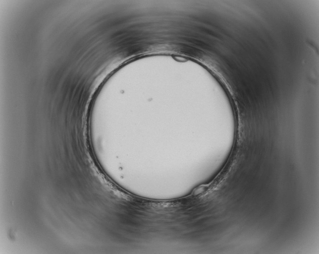 X0000102260949200808221412