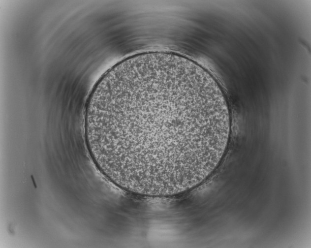 X0000102260950200808221412