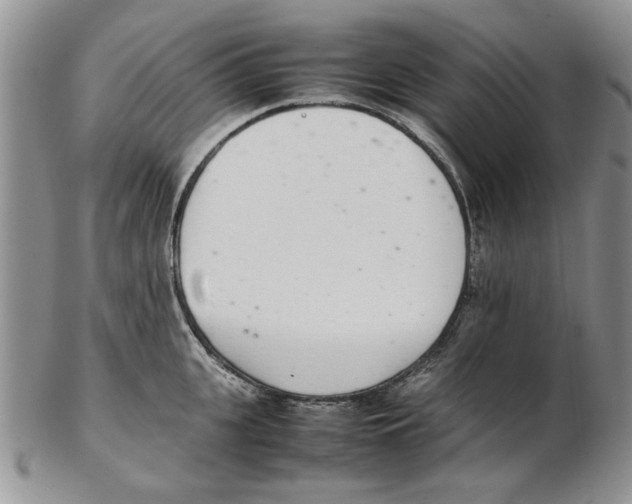X0000102260951200808221412