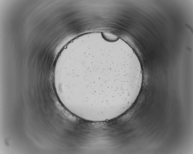 X0000102260952200808221412