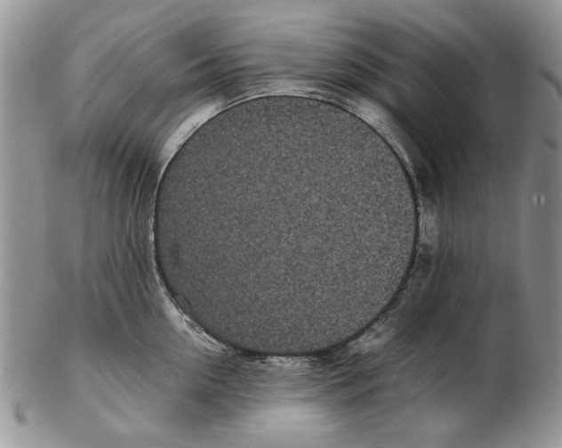 X0000102260954200808221412