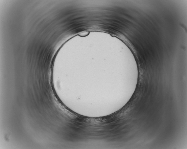 X0000102260955200808221412