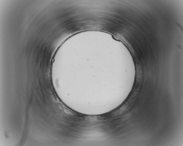 X0000102260956200808221412