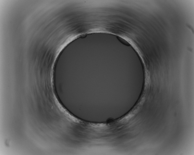 X0000102260957200808221412