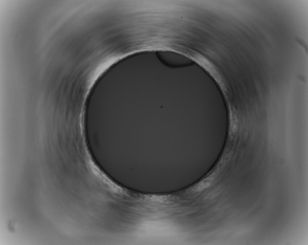 X0000102260958200808221412