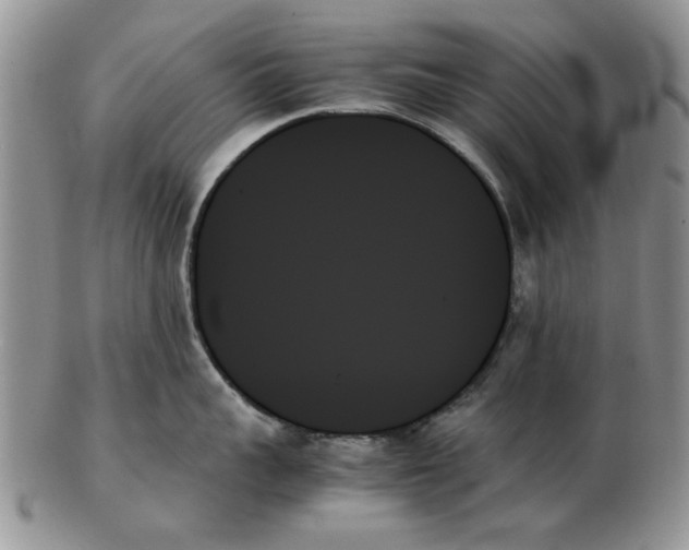 X0000102260959200808221412