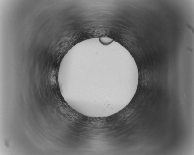 X0000102260962200808221411