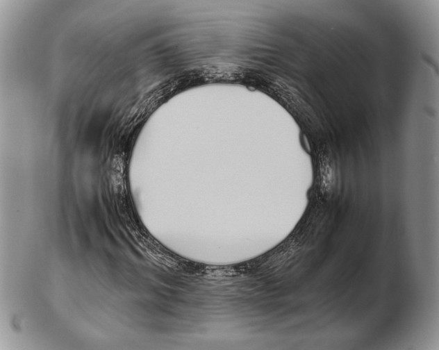 X0000102260964200808221411