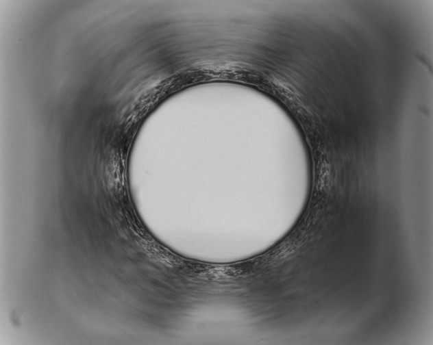 X0000102260966200808221411