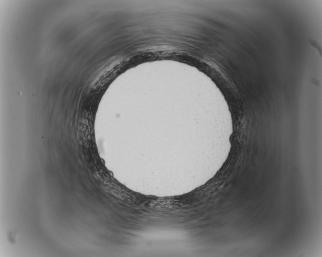 X0000102260967200808221411