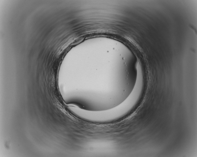 X0000102260969200808221411