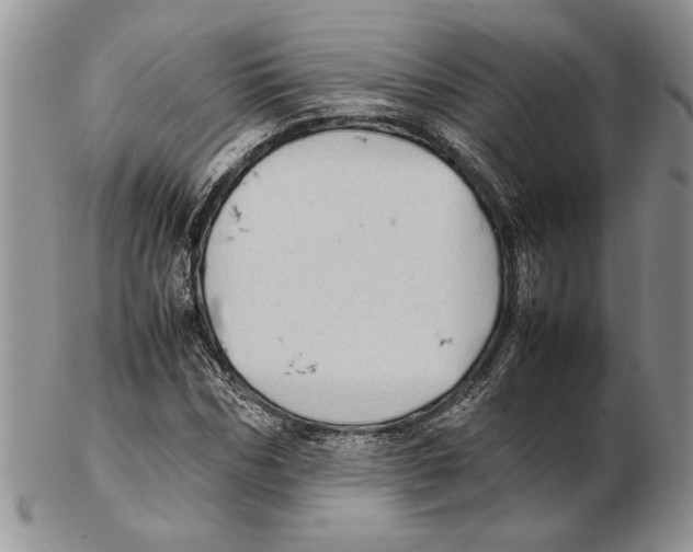 X0000102260970200808221411