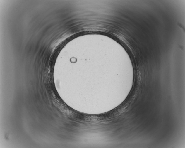 X0000102260971200808221411