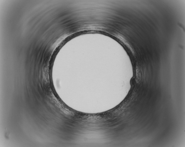 X0000102260972200808221411