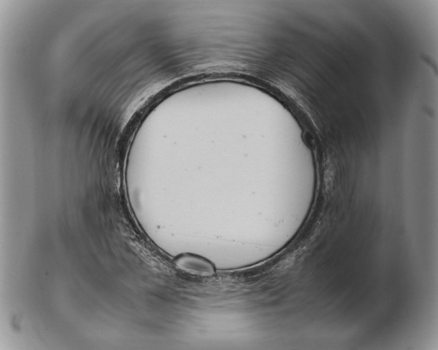 X0000102260973200808221411