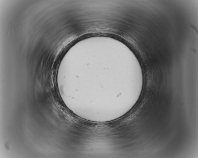 X0000102260974200808221411