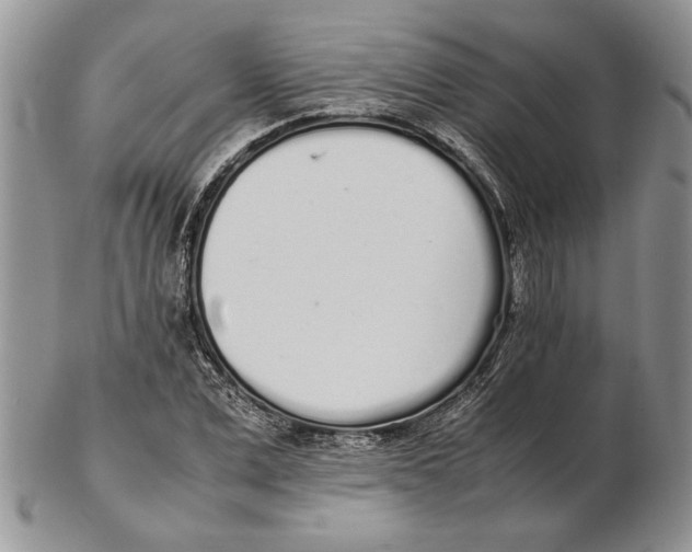 X0000102260975200808221411