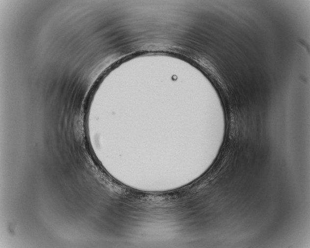 X0000102260976200808221411