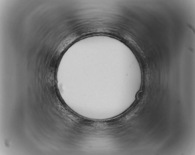 X0000102260977200808221411