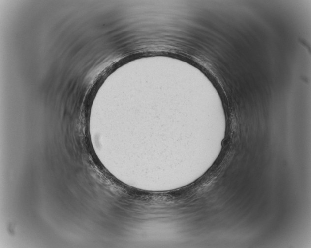 X0000102260979200808221411