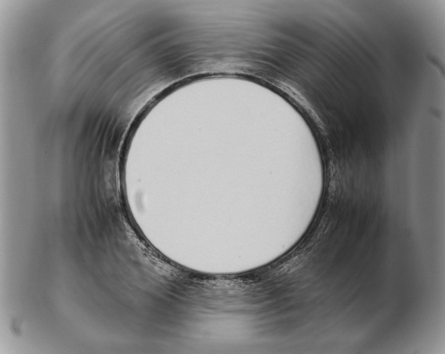 X0000102260980200808221411