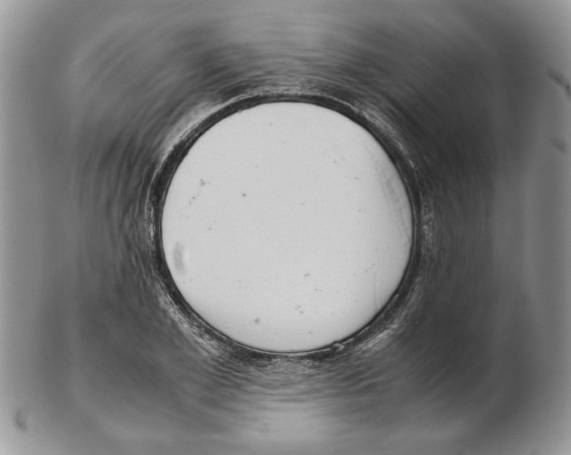 X0000102260981200808221411