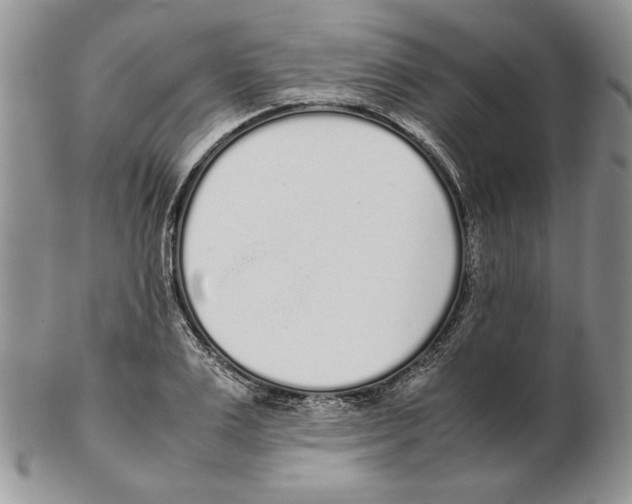 X0000102260983200808221411