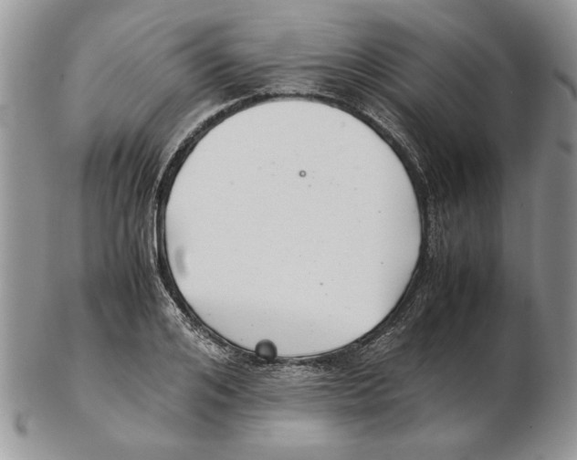 X0000102260984200808221411