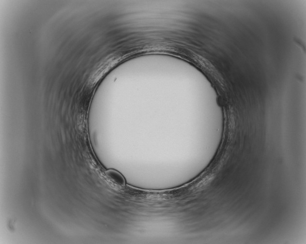 X0000102260985200808221411