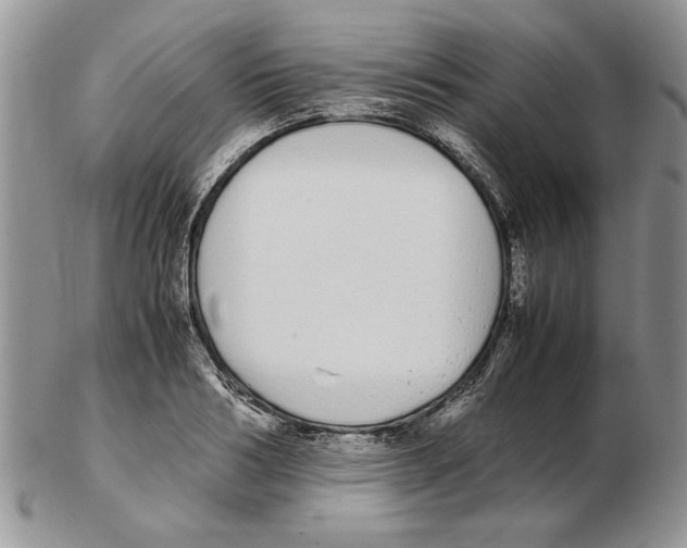 X0000102260986200808221411