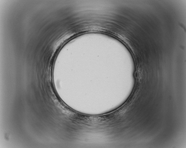 X0000102260987200808221411