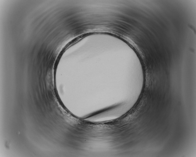 X0000102260988200808221411