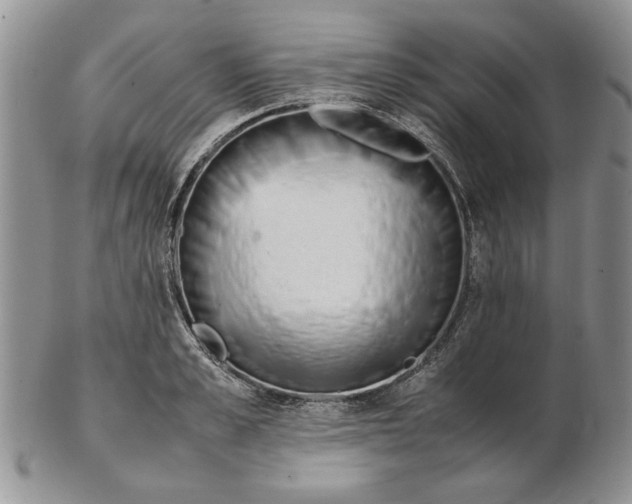 X0000102260989200808221411