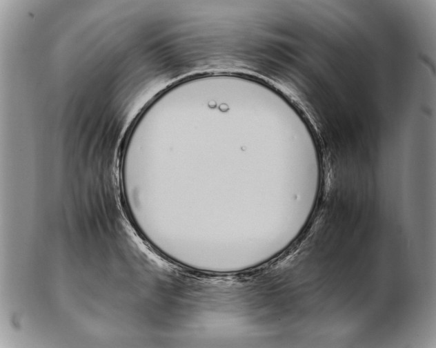 X0000102260990200808221411