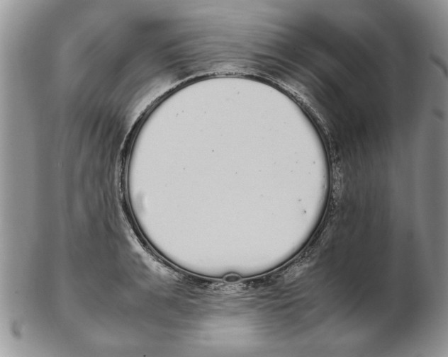 X0000102260991200808221411