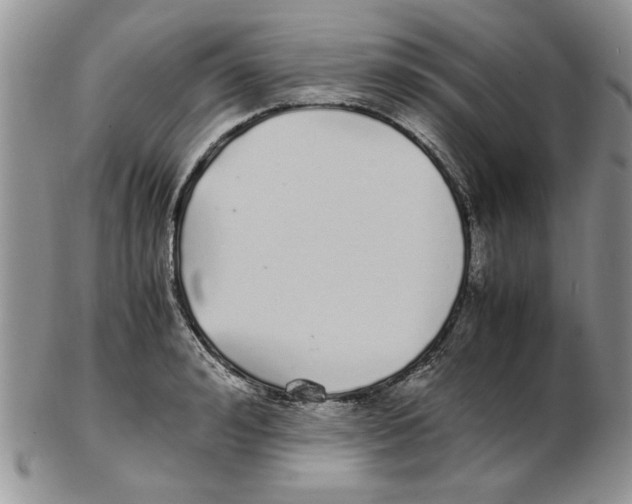X0000102260992200808221411