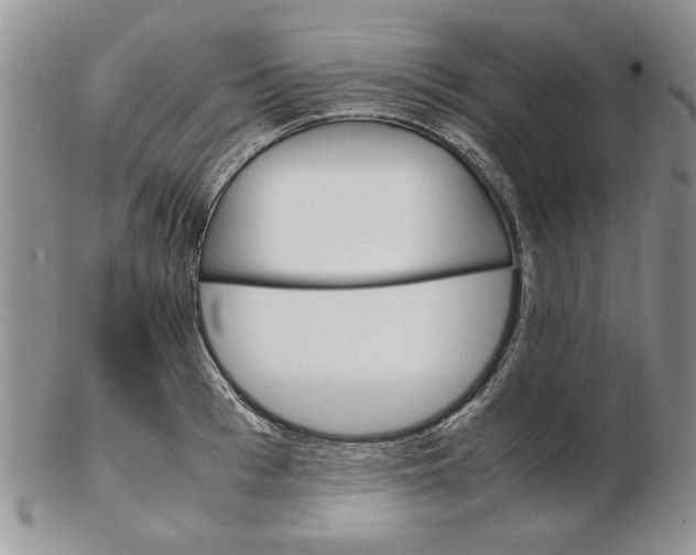 X0000102260993200808221411