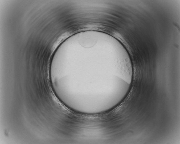 X0000102260994200808221411