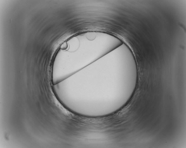 X0000102260995200808221411